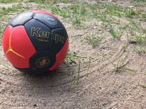 爱游戏平台-英超球队基于运动表现数据调整赛中体能分配策略，英超球队规则